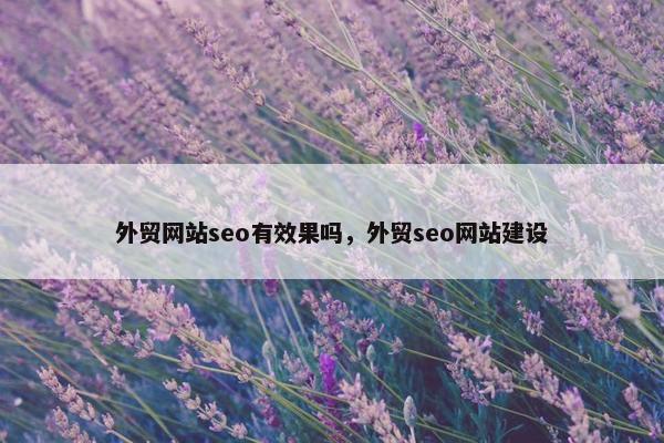 外贸网站seo有效果吗，外贸seo网站建设