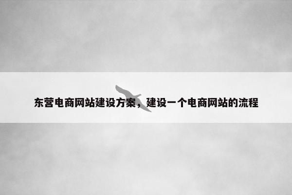 东营电商网站建设方案，建设一个电商网站的流程
