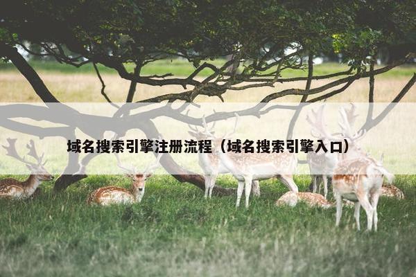域名搜索引擎注册流程（域名搜索引擎入口）