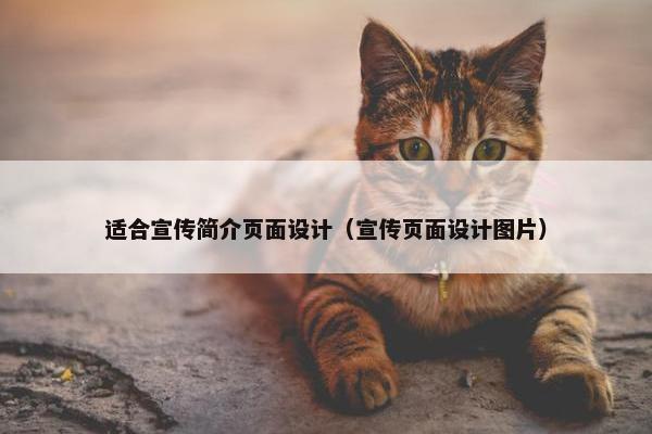 适合宣传简介页面设计（宣传页面设计图片）