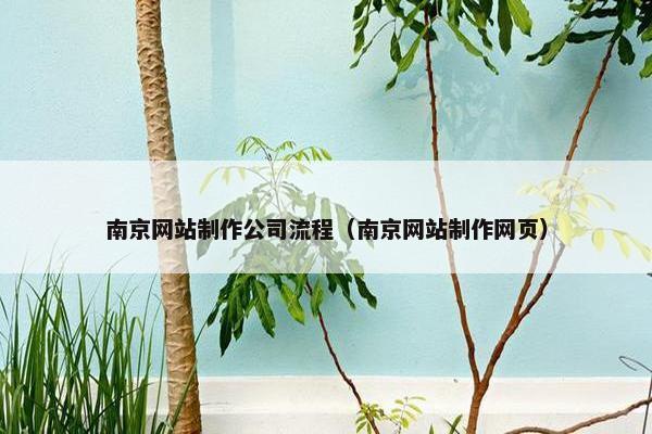 南京网站制作公司流程（南京网站制作网页）