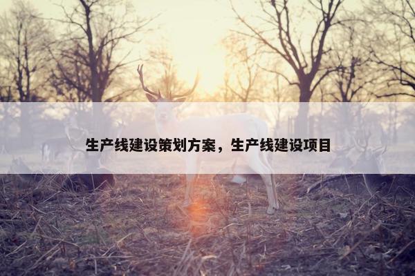 生产线建设策划方案，生产线建设项目