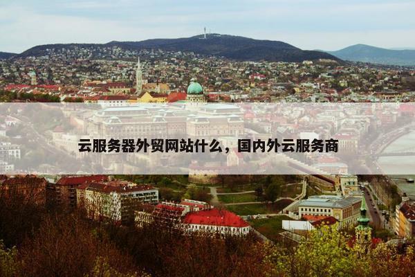 云服务器外贸网站什么，国内外云服务商