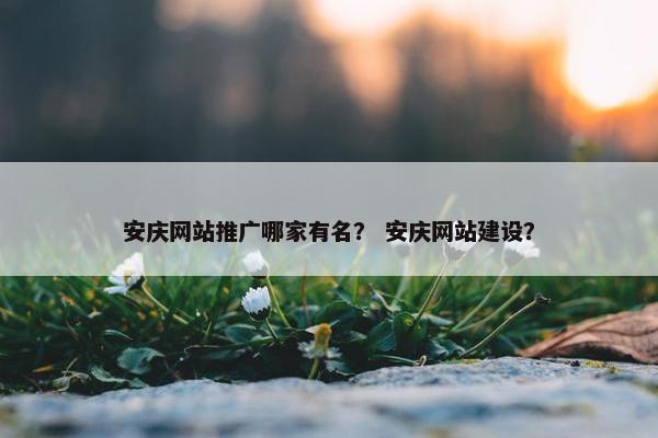 安庆网站推广哪家有名？ 安庆网站建设？