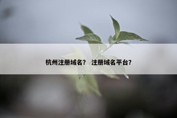杭州注册域名？ 注册域名平台？