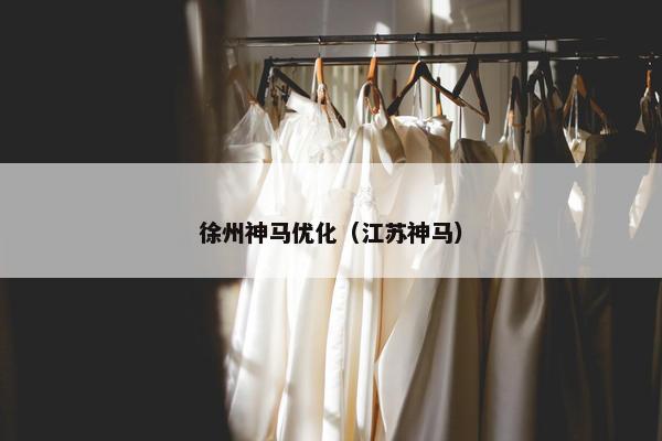 徐州神马优化（江苏神马）