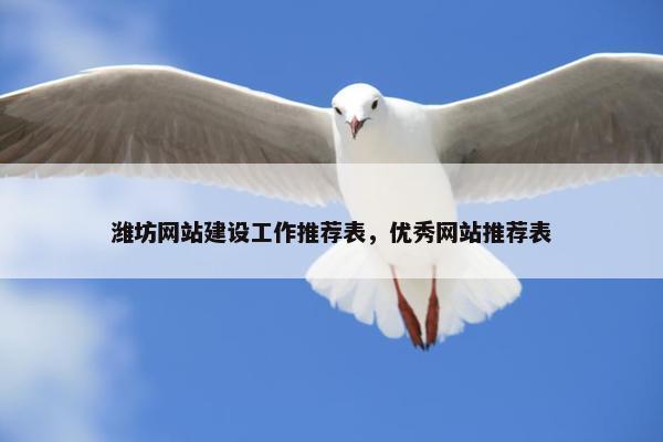 潍坊网站建设工作推荐表，优秀网站推荐表