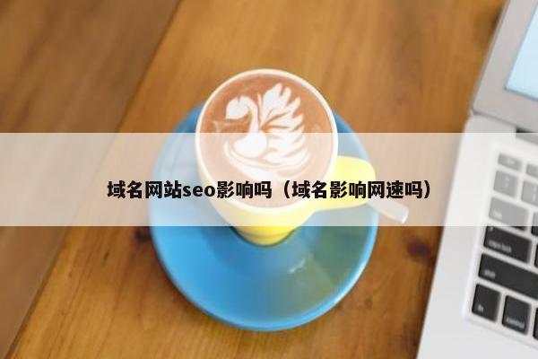 域名网站seo影响吗（域名影响网速吗）