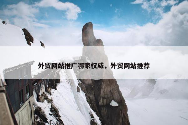 外贸网站推广哪家权威，外贸网站推荐