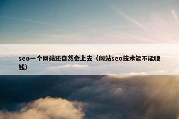 seo一个网站还自然会上去（网站seo技术能不能赚钱）