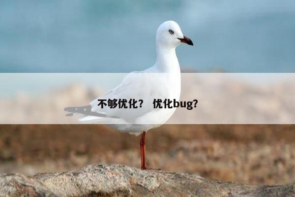 不够优化？ 优化bug？