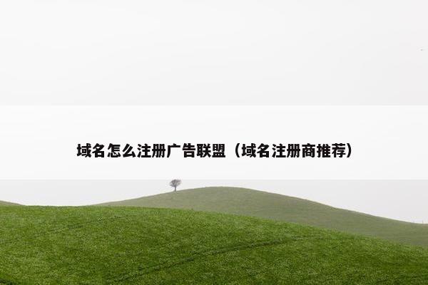 域名怎么注册广告联盟（域名注册商推荐）