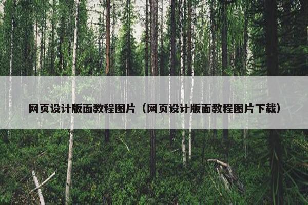 网页设计版面教程图片（网页设计版面教程图片下载）