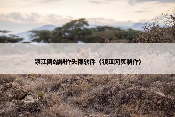 镇江网站制作头像软件（镇江网页制作）
