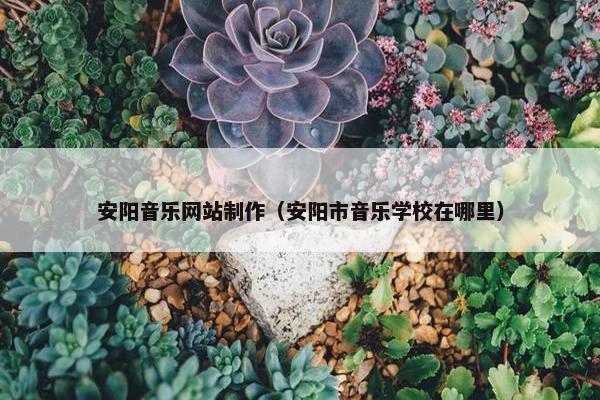 安阳音乐网站制作（安阳市音乐学校在哪里）