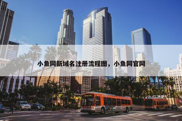 小鱼网新域名注册流程图，小鱼网官网