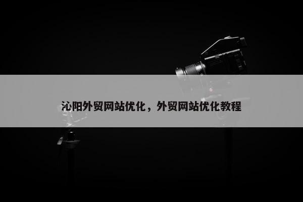 沁阳外贸网站优化，外贸网站优化教程