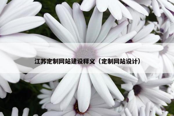 江苏定制网站建设释义（定制网站设计）
