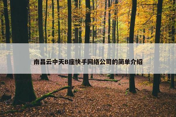 南昌云中天B座快手网络公司的简单介绍