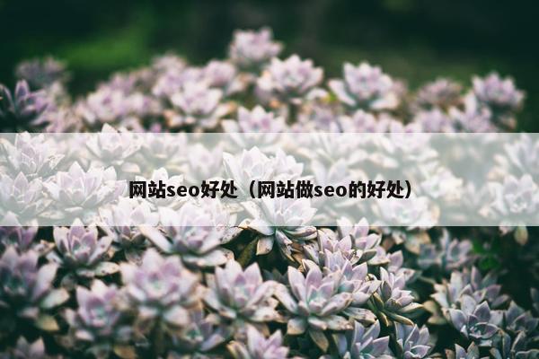 网站seo好处（网站做seo的好处）
