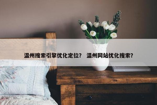 温州搜索引擎优化定位？ 温州网站优化搜索？