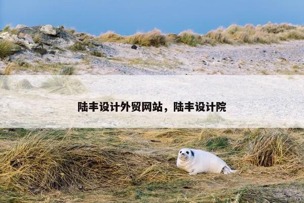 陆丰设计外贸网站，陆丰设计院