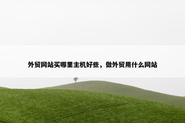外贸网站买哪里主机好些，做外贸用什么网站