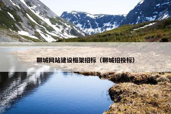 聊城网站建设框架招标（聊城招投标）