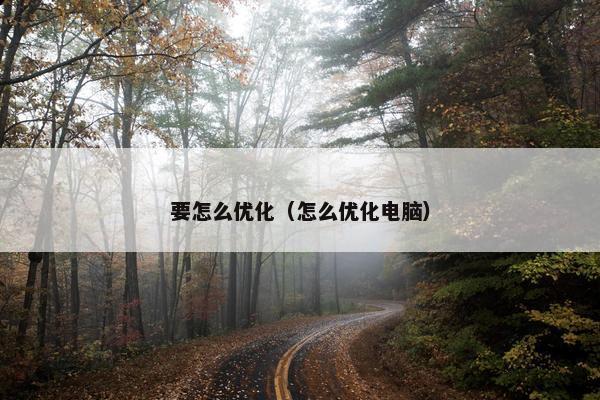 要怎么优化（怎么优化电脑）