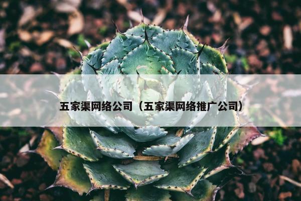 五家渠网络公司（五家渠网络推广公司）