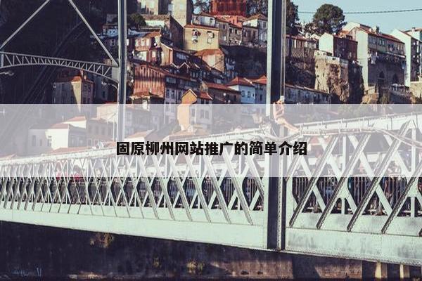 固原柳州网站推广的简单介绍