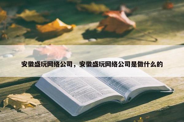 安徽盛玩网络公司，安徽盛玩网络公司是做什么的
