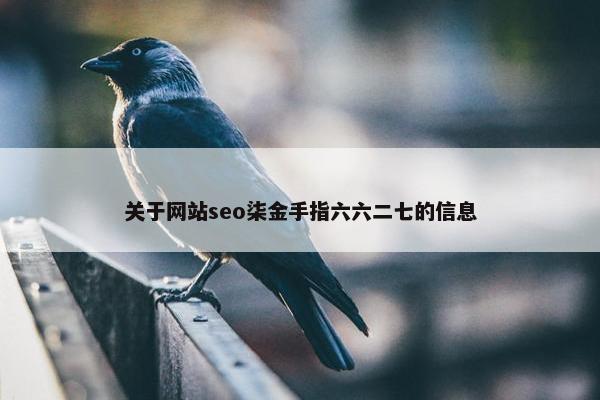关于网站seo柒金手指六六二七的信息