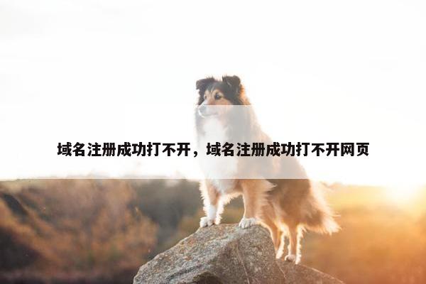 域名注册成功打不开，域名注册成功打不开网页