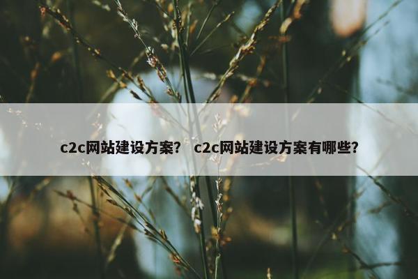 c2c网站建设方案？ c2c网站建设方案有哪些？