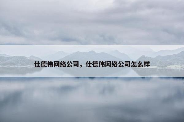 仕德伟网络公司，仕德伟网络公司怎么样
