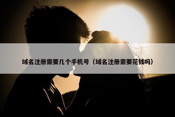 域名注册需要几个手机号（域名注册需要花钱吗）