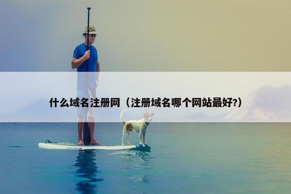 什么域名注册网（注册域名哪个网站最好?）