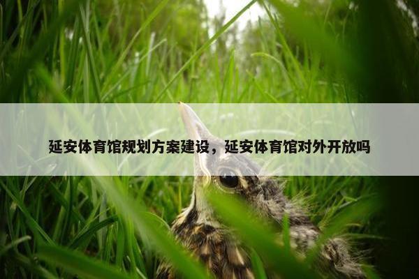 延安体育馆规划方案建设，延安体育馆对外开放吗