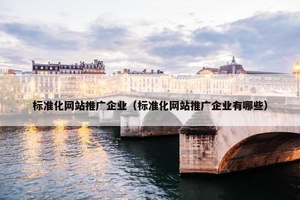 标准化网站推广企业（标准化网站推广企业有哪些）