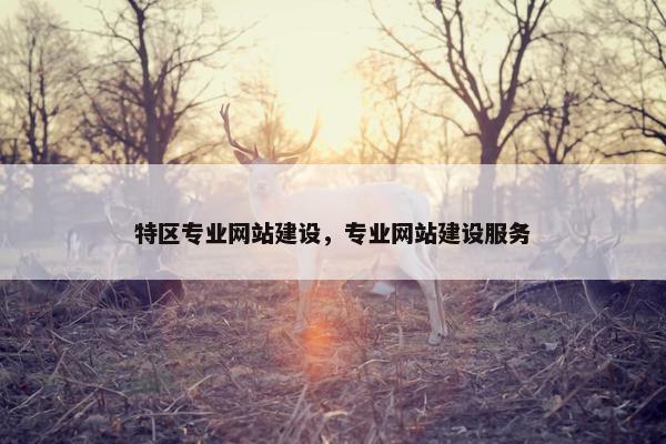 特区专业网站建设，专业网站建设服务