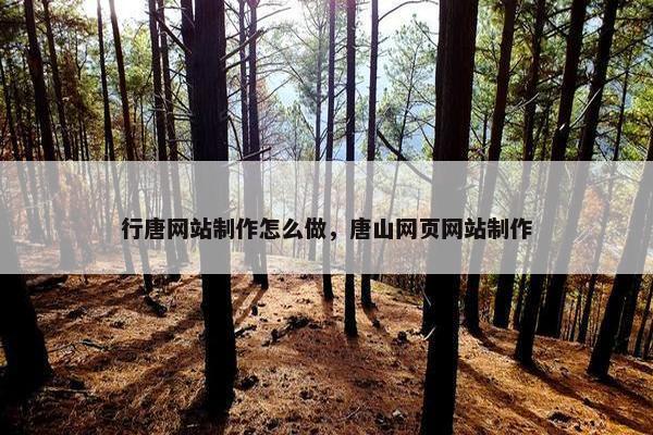 行唐网站制作怎么做，唐山网页网站制作