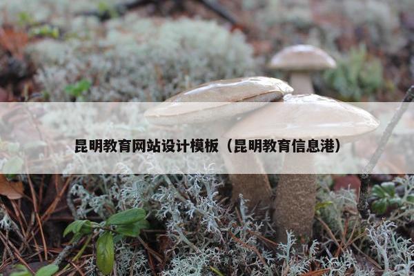昆明教育网站设计模板（昆明教育信息港）