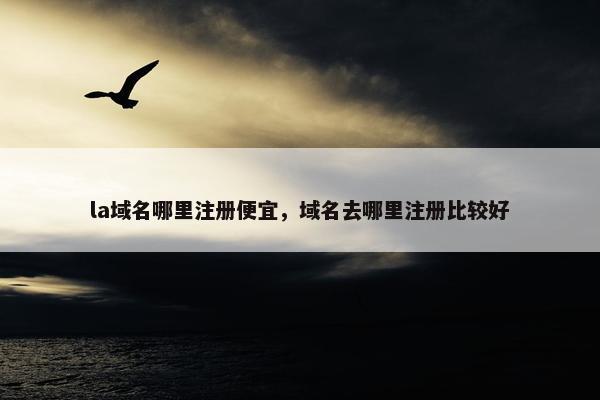 la域名哪里注册便宜，域名去哪里注册比较好