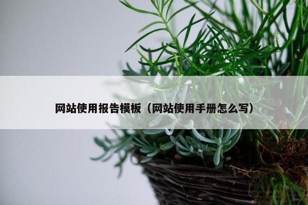 网站使用报告模板（网站使用手册怎么写）