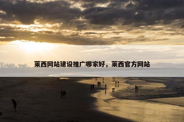 莱西网站建设推广哪家好，莱西官方网站