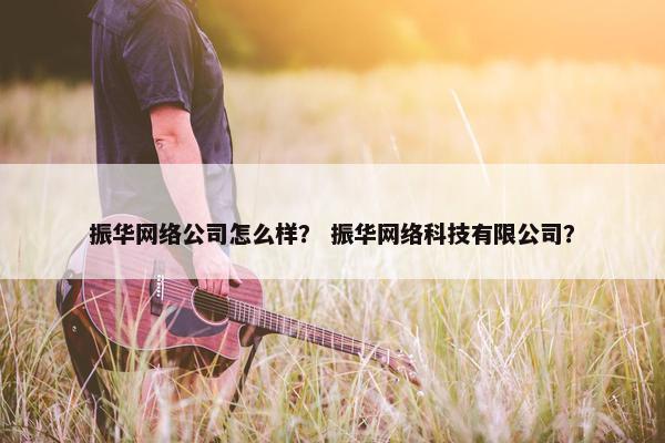振华网络公司怎么样？ 振华网络科技有限公司？