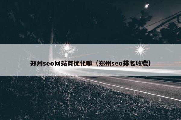 郑州seo网站有优化嘛（郑州seo排名收费）