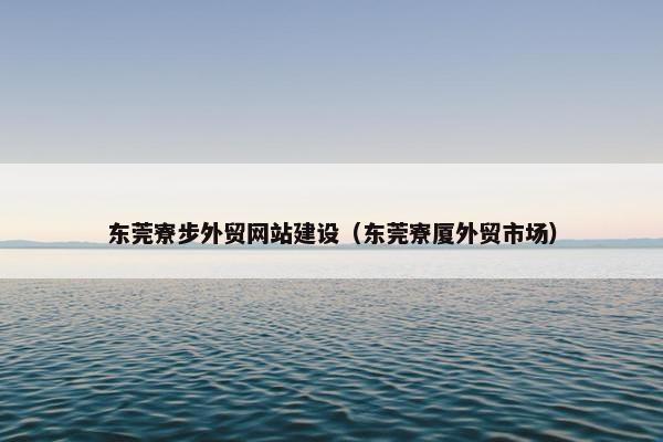 东莞寮步外贸网站建设（东莞寮厦外贸市场）