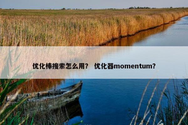 优化棒搜索怎么用？ 优化器momentum？